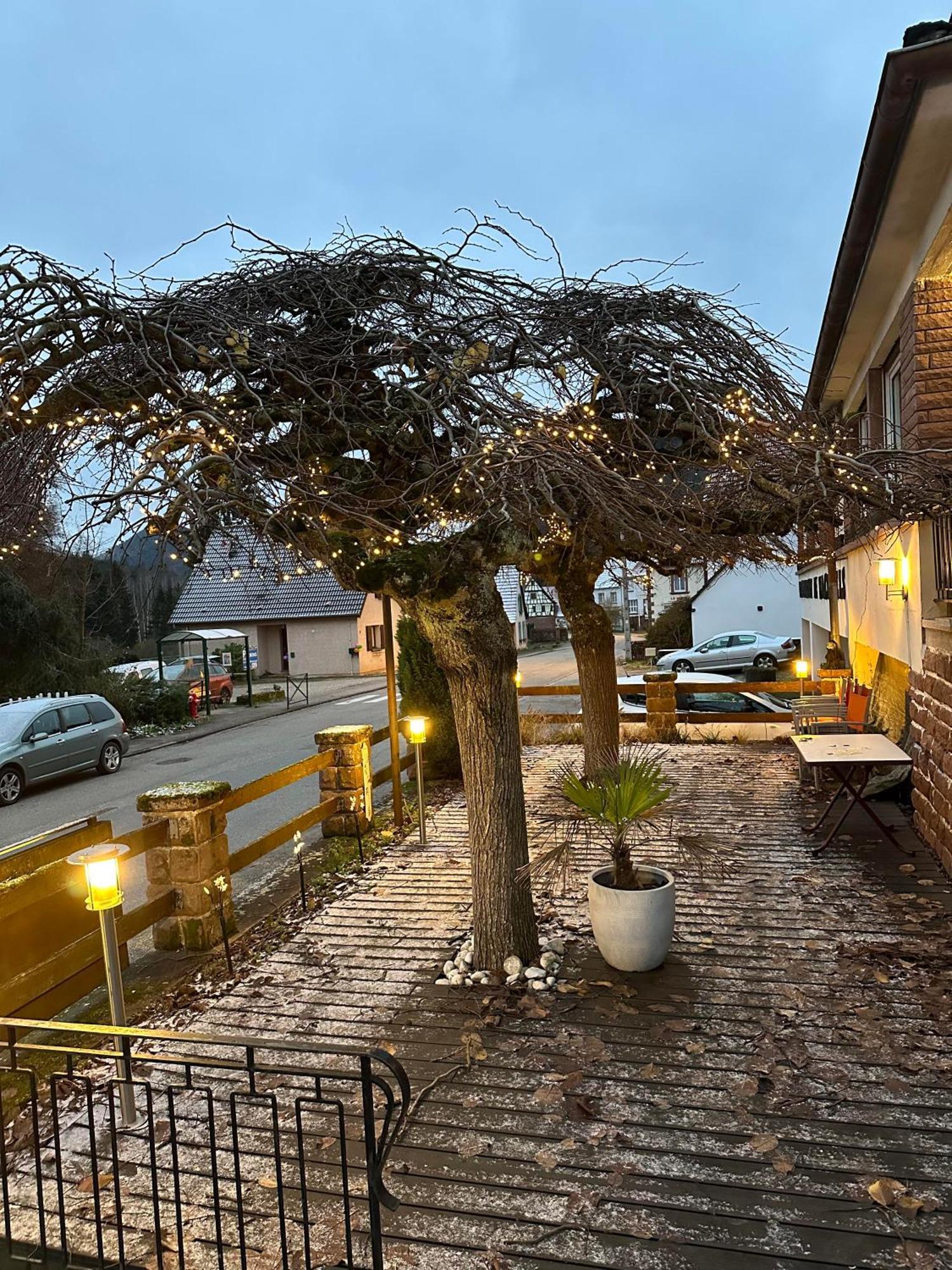 Obersteinbach Au Wachtfels Bed & Breakfast エクステリア 写真